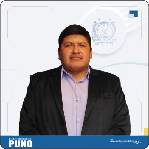 Ing. Edwin, MALDONADO NINA