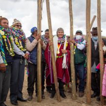 Nota de Prensa<hr>INSTALARAN CERCOS PARA LA TRADICIONAL CHAKU DE VICUÑAS EN EL DISTRITO DE HUACULLANI