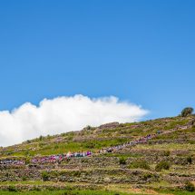 Nota de Prensa<hr>EN RITUAL DE PACHATATA Y PACHAMAMA GOBERNADOR REGIONAL ANUNCIA PLAN ESTRATÉGICO DE TURISMO PERTUR PARA LA REGIÓN