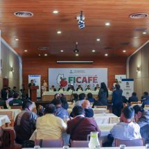 Nota de Prensa <hr> TODA LA REGIÓN PUNO UNIDA EN EL «FICAFÉ PUNO 2023»